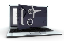 Privacy Litigation